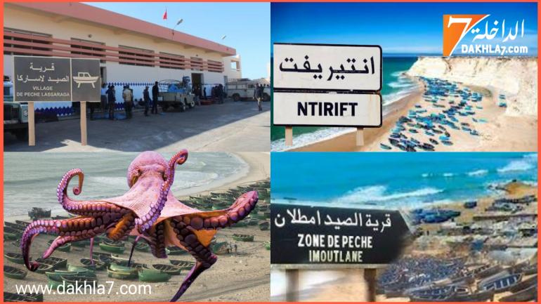 اسواق قرى الصيد بالداخلة تستقبل أزيد من 150 طنا من الأخطبوط في يوم واحد