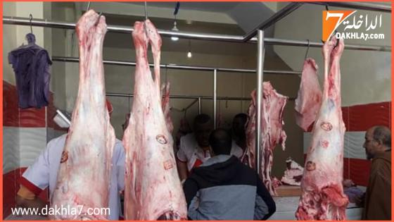 الحكومة توضح أسباب غلاء اللحوم الحمراء