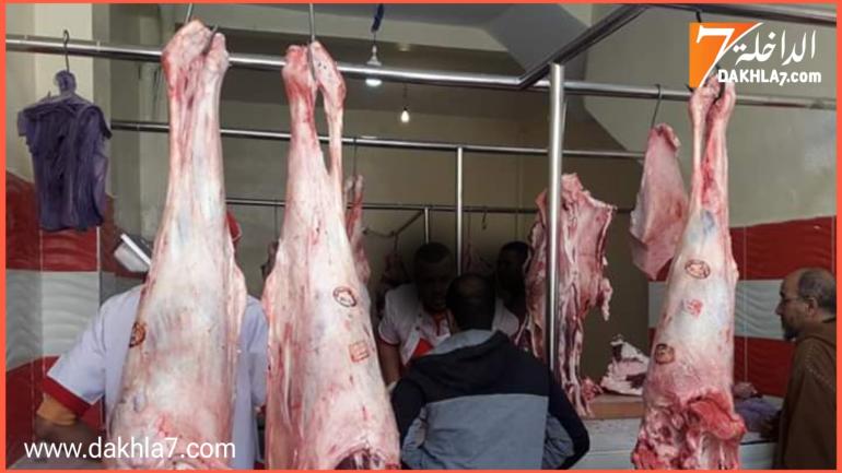 الحكومة توضح أسباب غلاء اللحوم الحمراء