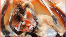 رفع الحظر عن جمع وتسويق الصدفيات بالمنطقة المصنفة “لكراع” بالدائرة البحرية لبوجدور