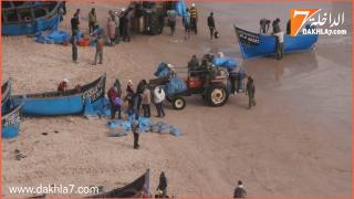 ملاك القوارب المعيشية يطالبون بتطبيق قانون رخص “الجرار”