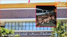 الوكيل العام للملك لدى محكمة الاستئناف بتطوان يأمر يفتح بحث قضائي بخصوص تداول صور بعض الأشخاص بلباس السباحة يجلسون على الأرض