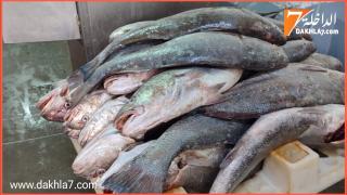 استهداف الكوربين بسواحل الداخلة يفقد ربان سفينة رخصته الإستثنائية لممارسة القيادة