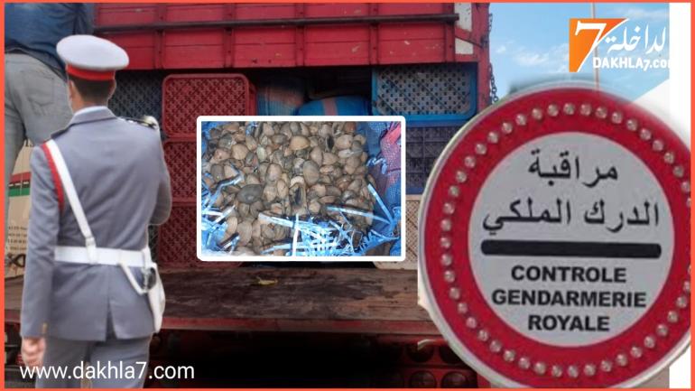 معبئة داخل شاحنة لنقل الخضر.. إفشال عملية تهريب أكثر من 700كلغ من “اللميعة”