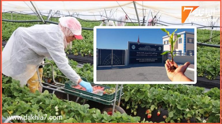 معهد التقنيين المتخصصين في الفلاحة بالداخلة يفتح باب التسجيل للراغبين بالتكوين في الميدان الفلاحي للموسم الحالي