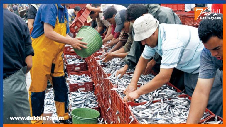 إنتعاشة بمصايد الأسماك السطحية بالعيون