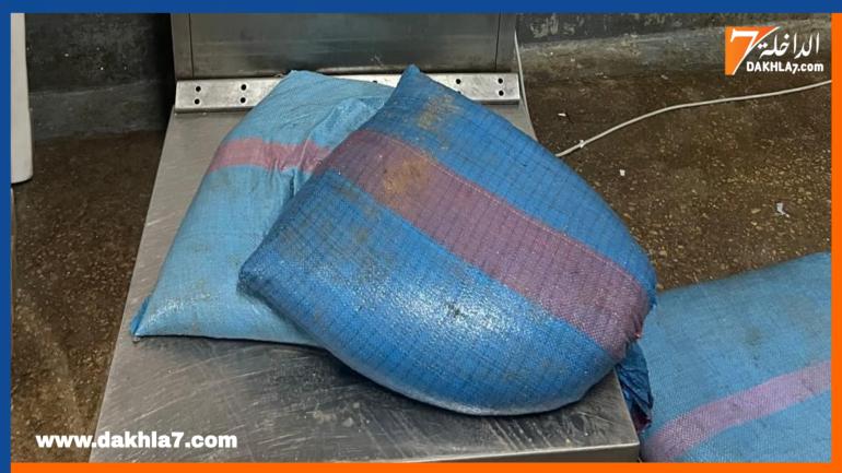 توقيف 4 أشخاص متورطين في صيد الأخطبوط في عز الراحة البيولوجية وحجز أكثر من طن من الأخطبوط المهرب