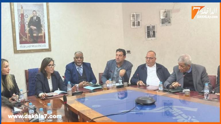 الدريوش تترأس اجتماع لجنة تتبع الأسماك السطحية الصغيرة بحضور رؤساء وممثلي الهيئات المهنية