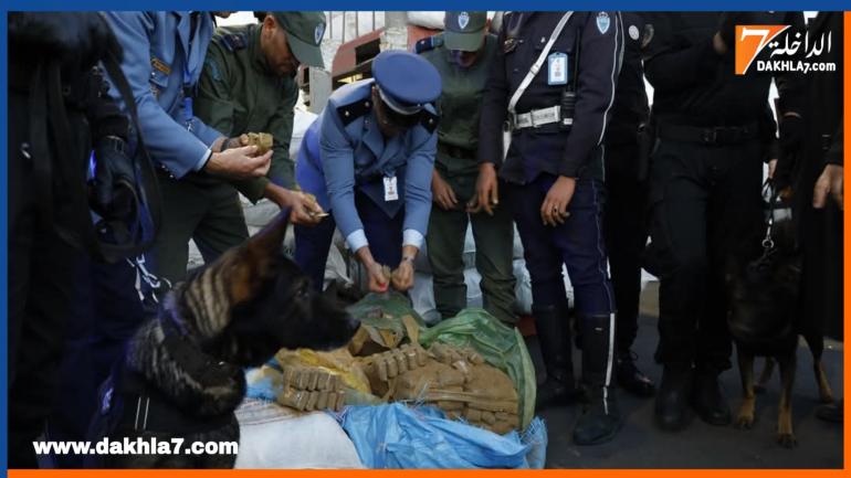 إجهاض محاولة لتهريب 3,619 طن من مخدر الشيرا