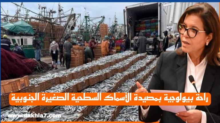 إغلاق مناطق في وجه أنشطة صيد الأسماك السطحية الصغيرة لحماية صغارها