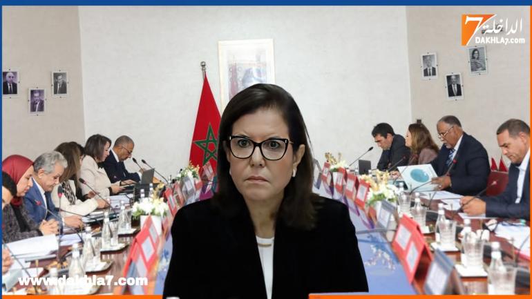 الدريوش: “نعمل على تجاوز التداعيات الاقتصادية التي تواجه قطاع الصيد البحري ومواكبة ودعم المهنيين”