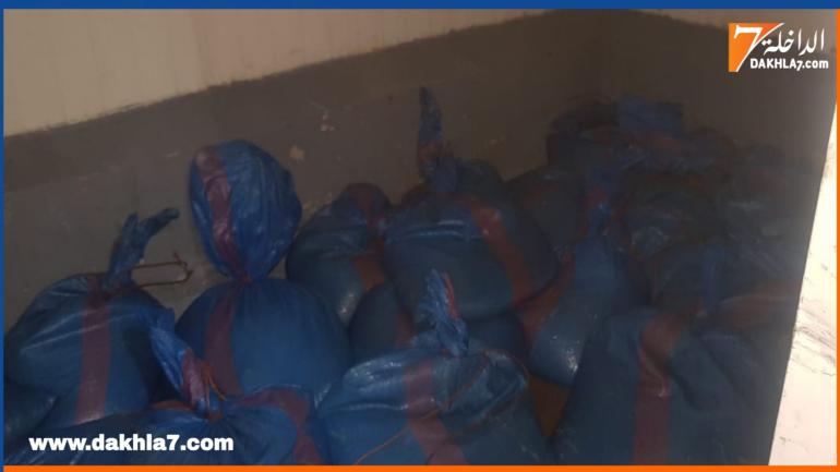 توقيف شخصين وحجر قرابة 1000كلغ من الأخطبوط المهرب