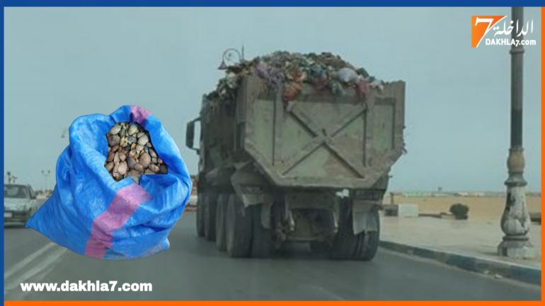 جماعة الداخلة تجر سائق شاحنة لنقل التفايات الى القضاء