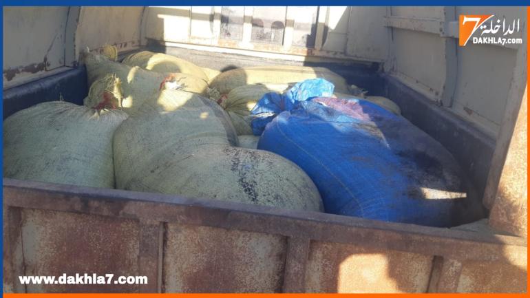 في أول يوم من الموسم الشتوي لصيد الأخطبوط.. حجز قرابة نصف طن من الأخطبوط في طريقه الى التهريب