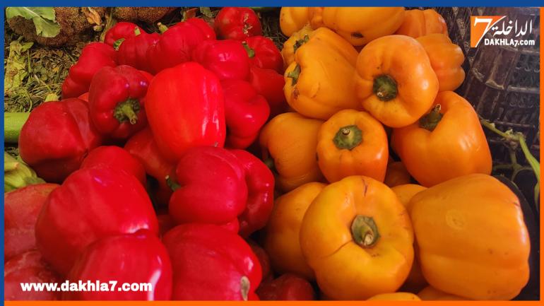 السلطات الألمانيا تسحب شحنة من الفلفل المستورد من المغرب بسبب احتوائها على نسبة مرتفعة من بقايا مبيد الآفات “أبامكتين”