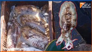 {"remix_data":[],"remix_entry_point":"challenges","source_tags":["local"],"origin":"unknown","total_draw_time":0,"total_draw_actions":0,"layers_used":0,"brushes_used":0,"photos_added":0,"total_editor_actions":{},"tools_used":{"transform":1,"beautify":1},"is_sticker":false,"edited_since_last_sticker_save":true,"containsFTESticker":false}