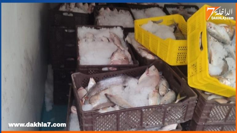في عملية نوعية للسلطات الأمنية بالداخلة.. حجز أزيد من 2000كلغ من الأسماك تفتقد الوثائق الثوبتية 