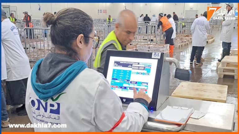 أطر ومستخدمو المكتب الوطني للصيد يشهرون ورقة التصعيد إحتجاجا على تصريحات العبوبي