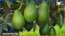 {"remix_data":[],"remix_entry_point":"challenges","source_tags":["local"],"origin":"unknown","total_draw_time":0,"total_draw_actions":0,"layers_used":0,"brushes_used":0,"photos_added":0,"total_editor_actions":{},"tools_used":{"transform":1},"is_sticker":false,"edited_since_last_sticker_save":true,"containsFTESticker":false}