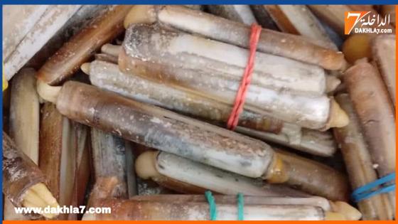 {"remix_data":[],"remix_entry_point":"challenges","source_tags":["local"],"origin":"unknown","total_draw_time":0,"total_draw_actions":0,"layers_used":0,"brushes_used":0,"photos_added":0,"total_editor_actions":{},"tools_used":{"transform":1,"beautify":1},"is_sticker":false,"edited_since_last_sticker_save":true,"containsFTESticker":false}