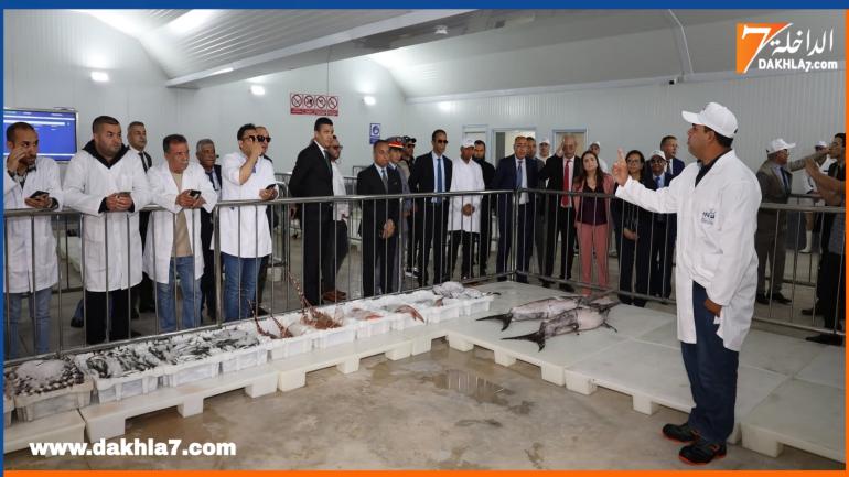 تسويق حوالي 7,37 مليار درهم من المنتجات الصيد البحري حتى نهاية غشت 2025