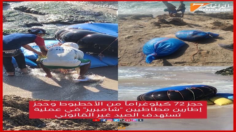 حجز 72 كيلوغراماً من الأخطبوط في عملية ضد الصيد غير القانوني عبر الإطارات المطاطية