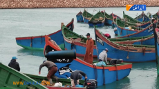 قوارب الصيد التقلدي ببوجدور تختبر قانونيتها أمام لجنة إحصائية