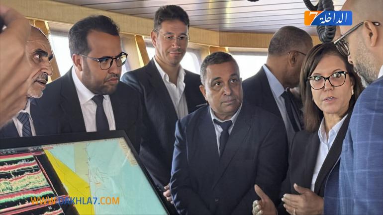 وفرة السردين بالمنطقة التجريبية تؤكد نجاعة قرار الحظر.. المهنيون يتسائلون عن معايير الولوج وتكافؤ الفرص