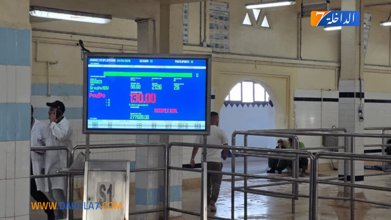 ارتفاع قيمة المنتجات البحرية المسوقة بـ5 في المائة خلال يناير