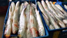 {"remix_data":[],"remix_entry_point":"challenges","source_tags":["local"],"origin":"unknown","total_draw_time":0,"total_draw_actions":0,"layers_used":0,"brushes_used":0,"photos_added":0,"total_editor_actions":{},"tools_used":{"transform":1},"is_sticker":false,"edited_since_last_sticker_save":true,"containsFTESticker":false}