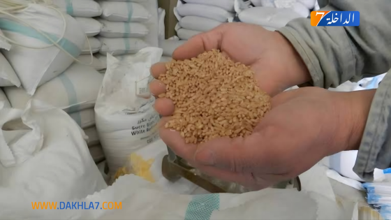 المجلس العلمي الأعلى يحدد 25 درهما مقدار زكاة الفطر نقدا لعام 1447هـ/2026م