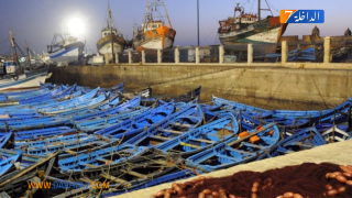 انخفاض مفرغات الصيد البحري بميناء الصويرة