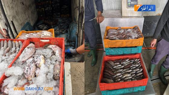 {"remix_data":[],"remix_entry_point":"challenges","source_tags":[],"origin":"unknown","total_draw_time":0,"total_draw_actions":0,"layers_used":0,"brushes_used":0,"photos_added":0,"total_editor_actions":{},"tools_used":{},"is_sticker":false,"edited_since_last_sticker_save":false,"containsFTESticker":false}