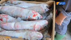 {"remix_data":[],"remix_entry_point":"challenges","source_tags":["local"],"origin":"unknown","total_draw_time":0,"total_draw_actions":0,"layers_used":0,"brushes_used":0,"photos_added":0,"total_editor_actions":{},"tools_used":{"transform":1},"is_sticker":false,"edited_since_last_sticker_save":true,"containsFTESticker":false}