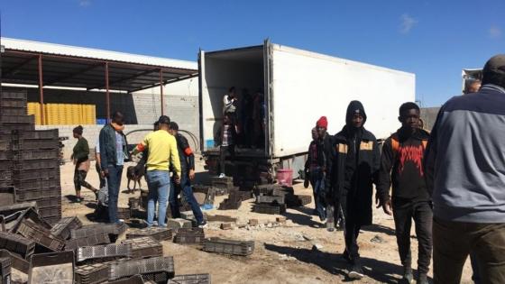 حصرى…إحباط شبكة للهجرة السرية بالمنطقة الصناعية بالداخلة