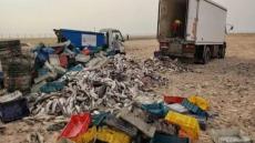 تفاصيل..إتلاف 15 طن ديال الحوت تحجزات فالداخلة وغادية للتهريب