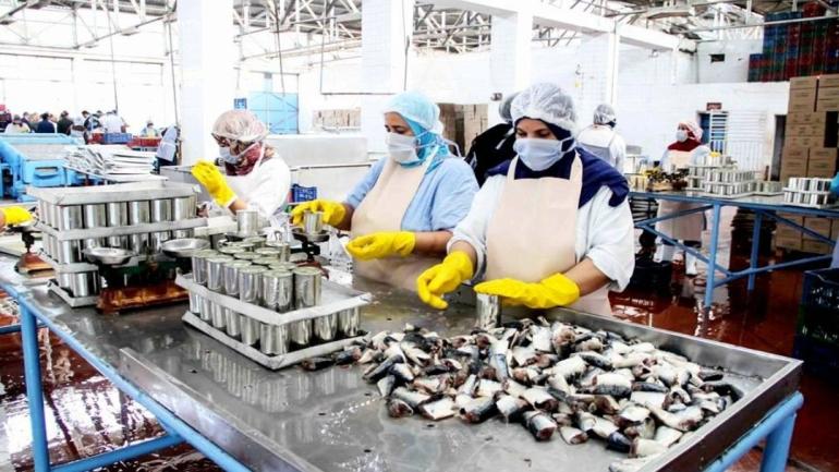 توضيح.. الحالات المسجلة الأخيرة في عدة وحدات صناعية لاتدعوا للقلق