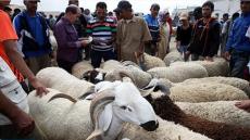 7 ديال السواق تسدُّو بسبب عدم احترام التدابير الصحية المطلوبة