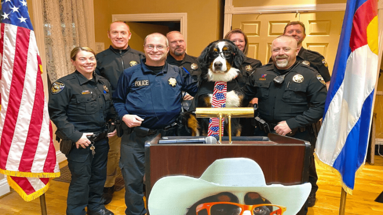 انتخاب كلب ”عمدة فخري“ في مدينة أمريكية