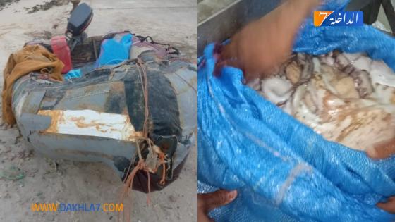 حملة واسعة لمكافحة الصيد غير القانوني للأخطبوط بالداخلة تسفر عن إعتقال 20 شخص وحجز معدات للصيد وكميات من السمك