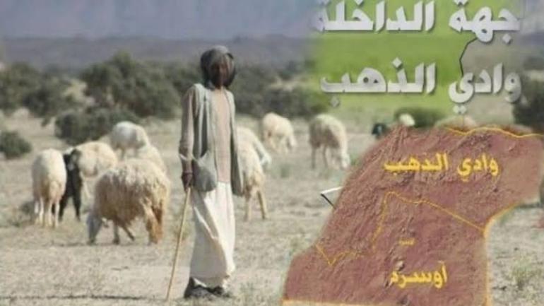 الجمعية المهنية لكسابة المواشي بجهة الداخلة وادي الذهب تعقد جمعها العام العادي