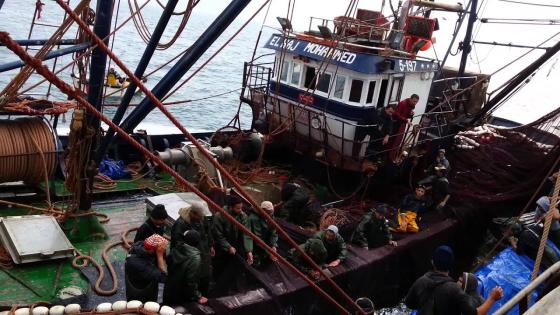 الى جا لعياط من الكدية لهروب منين.. “INDUSMAR” و” SILVERFOOD” تستعدان لتصدير “كورونا” نحو الداخلة.